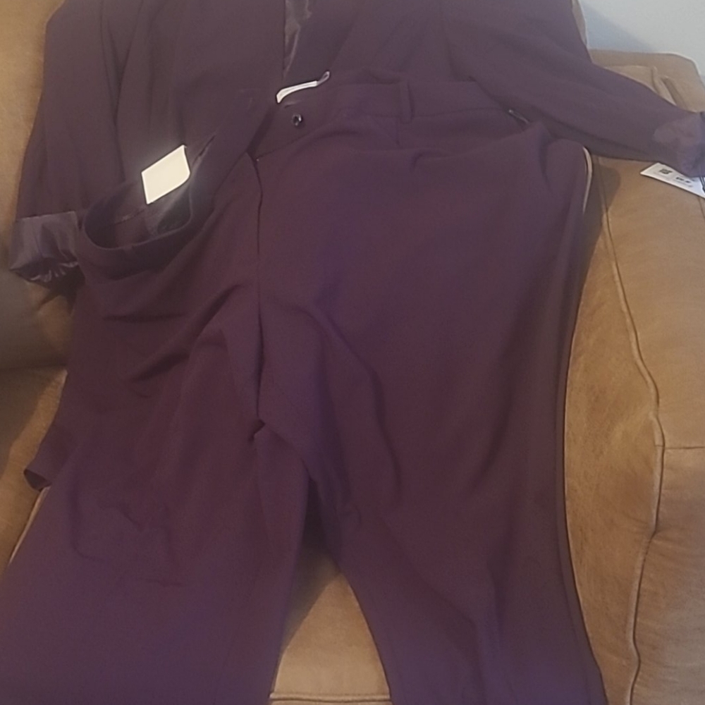 Calvin Klein dark eggplant purple  plus suit